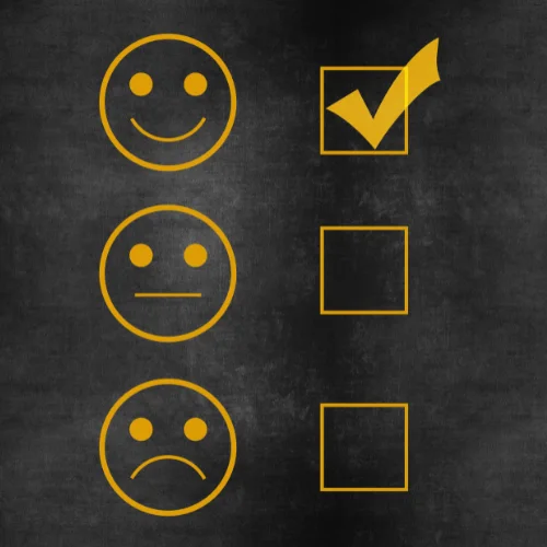 Bizconnect image of three facual expression drawings with boxes next to them and the smilies face has a tick in ithe box next to it